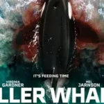 killer whale
