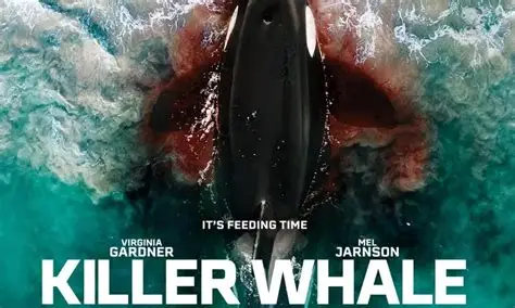 killer whale